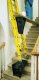 PIVIT LADDER TOOL PIVIT LADDER TOOL
